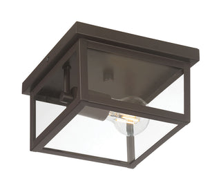 Evanton 8" Wide 1-Light Outdoor Flush Mount