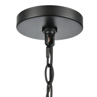 Braselton 8" Wide 1-Light Outdoor Hanging Lantern - Powder Coated Black