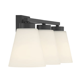Strayhan 22" Wide 3-Light Vanity