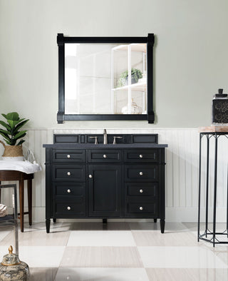 48 Inch Brittany Freestanding Vanity in Black Onyx / Charcoal Soapstone Top